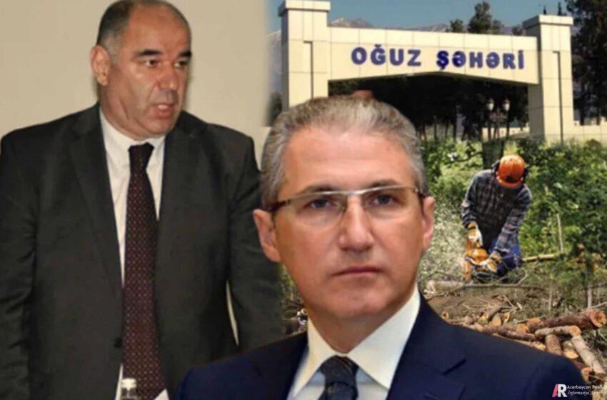  Oğuzun icra başçısı meşələri məhv edərək stadiona cevirib – “Qırmızı kart göstərən olacaqmı?