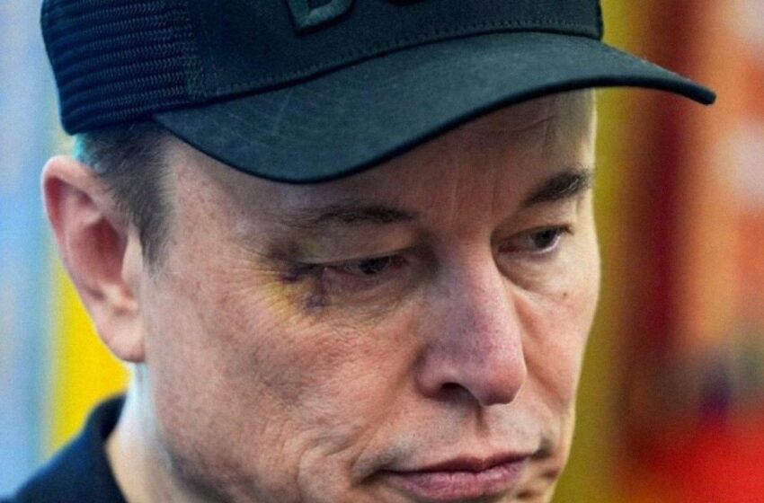 Elon Maskı döyüblər…